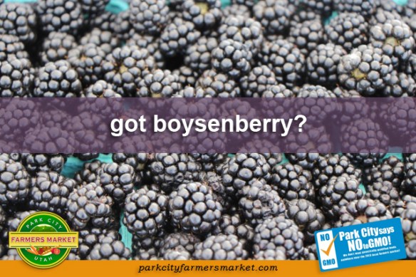 got boysenberry?