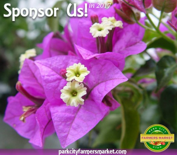 Sponsor 2017 Park City Farmers Market